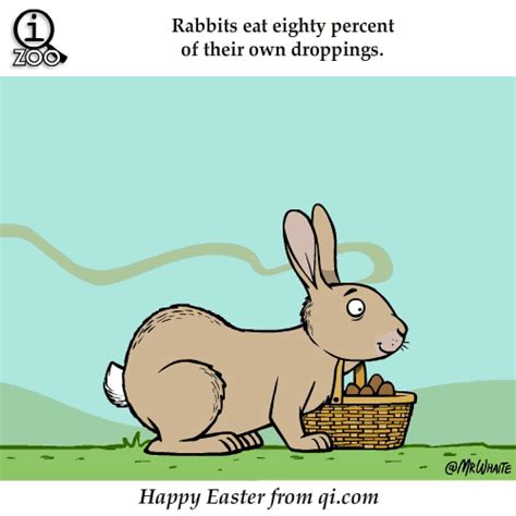 Long lines make up the shapes and small lines make the textures. Animal Facts in Funny Animations - Barnorama