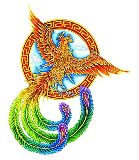 Chinese Vermilion Rainbow Phoenix Bird Art Print By Rebecca Wang