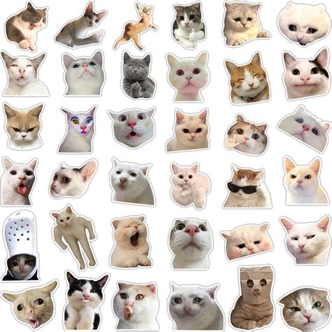 Cat Meme Sticker Cat Meme Temukan Bagikan Gif Sexiz Pix