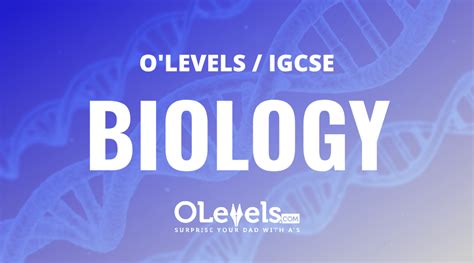 Biology O Leveligcse Olevelscom