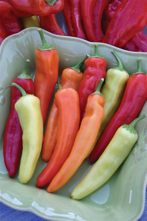 Peppers Hungarian Hot Wax Lucas Greenhouses