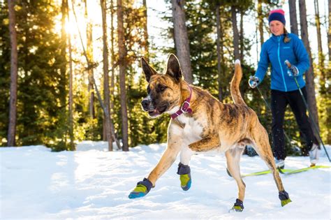 The Best Dog Snow Boots For 2020 Our Picks The Dog People By