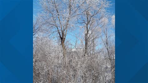The Difference Between Hoar Frost And Rime Ice