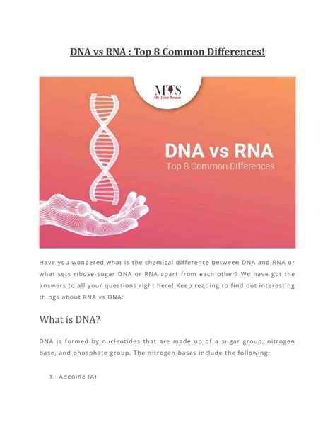 Solution Dna Vs Rna Top 8 Common Differences Studypool