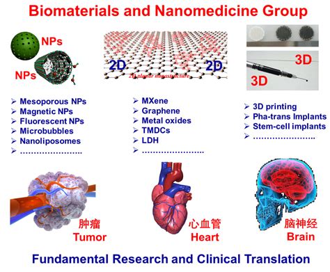 Research Nanomedicine And Biomaterials Lab