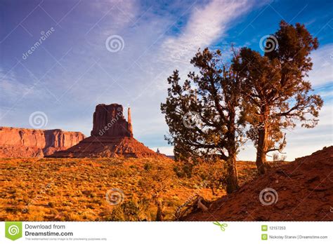 Junipers In Monument Valley Stock Image Image Of Cloud