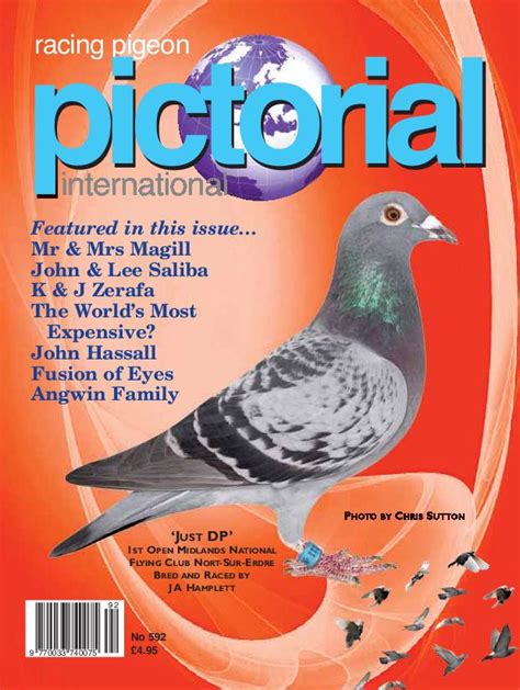 Racing Pigeon Pictorial International June 2021 Avaxhome
