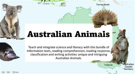 Australian Animals Information Texts Teaching Resources