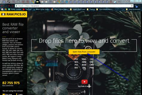 How To Convert Cr2 To Jpeg Using Digital Photo Editor Hoolibank