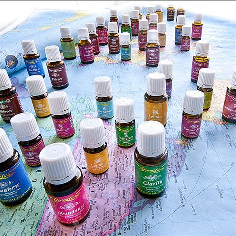 Essential oils, misapplied, can kill cats. Why Young Living Essential Oils and not doTERRA ...