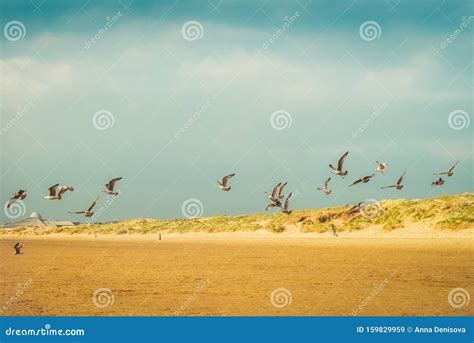 Sandy Crosby Beach Near Liverpool On A Sunny Day Stock Image Image Of