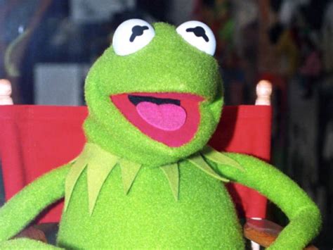 Frosch Kermit Bei The Masked Singer In Den Usa Enttarnt Snat