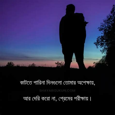 Top 30 Bangla Shayari বাংলা শায়রি For Bengali People