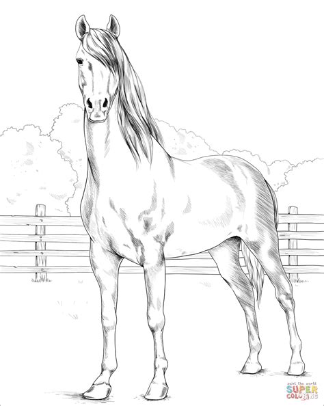 Long Horse Coloring Pages Horses Coloring Pages Printable Games 2