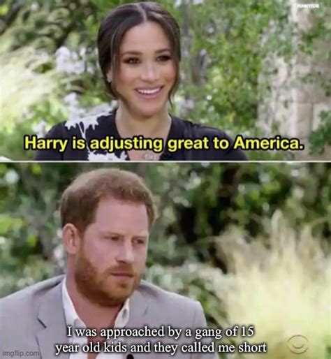 We did not find results for: harry is adjusting great to america Memes & GIFs - Imgflip
