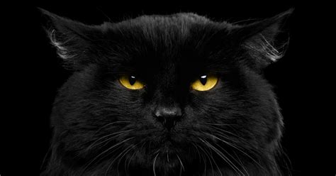 13 weird superstitions from around the world [infographic] pcloud blog