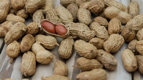 Peanuts Can Lower Your Cardiovascular Disease Risk Study Health
