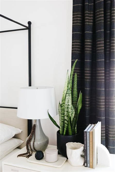 Potted Plant On Nightstand Transitional Bedroom