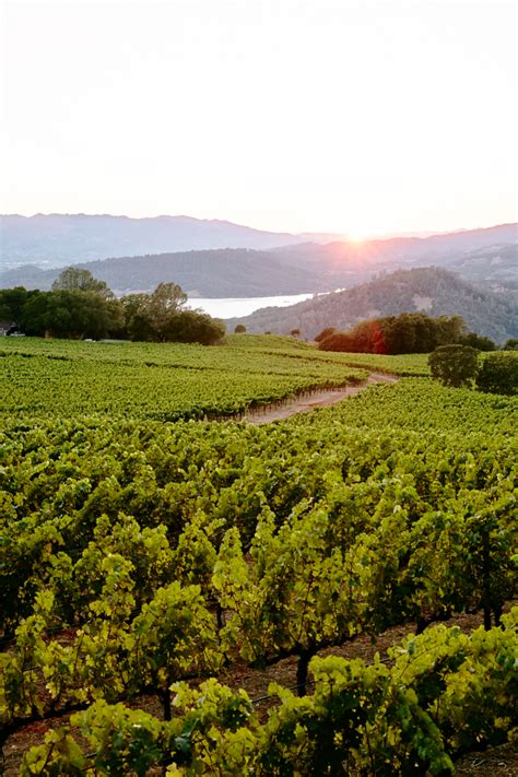If you haven't subscribe yet to my channel, consider to subscribe, like my channel.please. Win a road trip to wine country and beyond! - Sunset Magazine