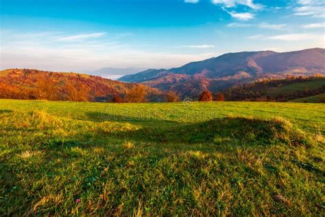 Grassy Meadow On Hill Side At Sunrise In Autumn Stock Image Image Of