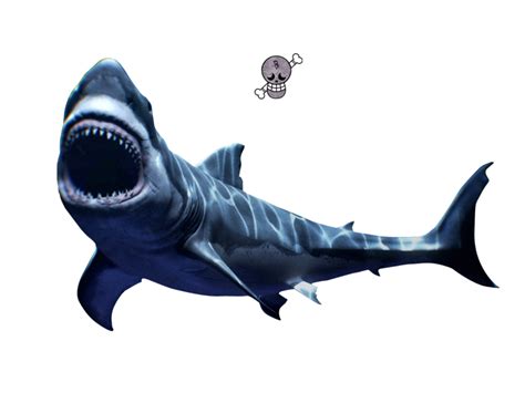Shark Transparent Png Pictures Free Icons And Png Backgrounds