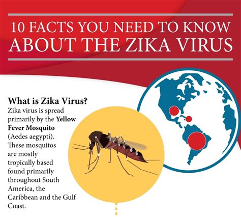10 Facts You Need To Know About Zika Virus University Of Utah Health University Of Utah Health