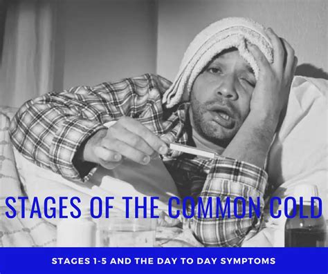 The Stages Of The Common Cold A Day By Day Progression And Timeline