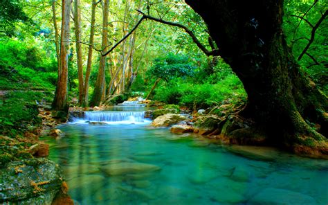 Forest River Wallpapers 4k Hd Forest River Backgrounds On Wallpaperbat