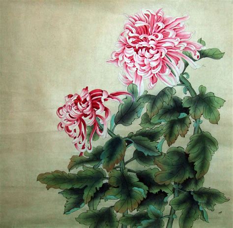 Chinese Chrysanthemum Painting Cm X Cm X