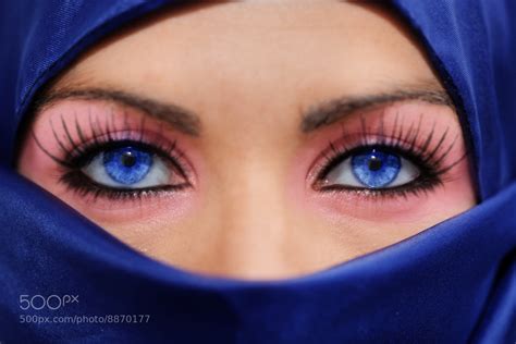 Photograph Persian Blue Eyes Mirada Azul Persa By Santi Serrano