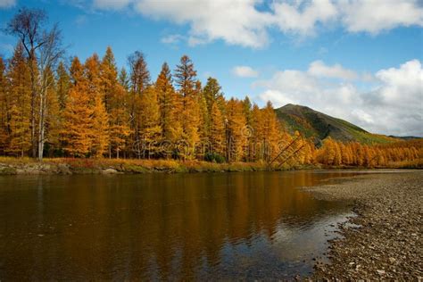 The Colours Of Autumn Are Cold Water Rivers Of Magadan Stock Photo