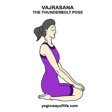 Vajrasana Thunderbolt Pose Yoga Asana To Improve Digestion