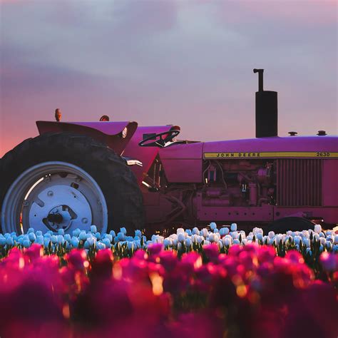 2048x2048 John Deere Tractor In Flower Farm 4k Ipad Air Hd 4k