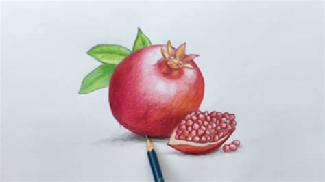 How To Draw A Pomegranate Easy Pomegranate Drawing Pomegranate