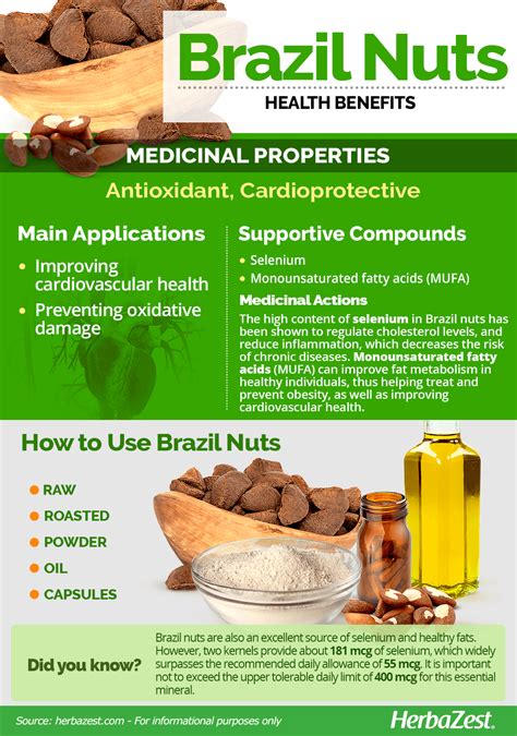 Brazil Nut Herbazest