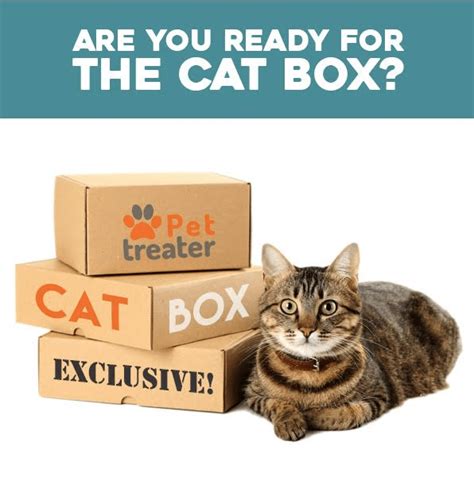You will get a variety of toys, natural treats, and other surprises, such as. New Pet Treater Cat Limited Edition Box & Coupon! - hello ...