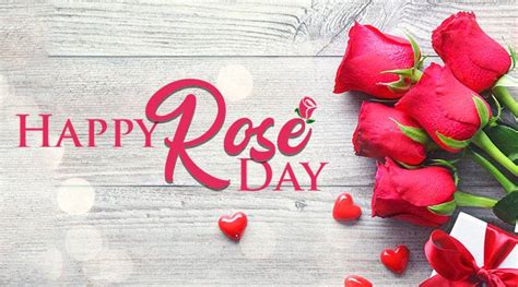Happy Rose Day Rose Day 2022 Wishes Images And Quotes To Share On