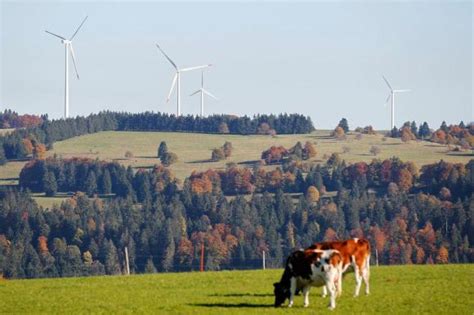 Swiss Give Green Light For Renewables And Nuclear Phase Out Swi