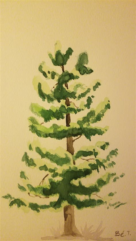 Pine Tree Watercolor 9x12 Rpainting
