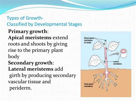 Plant Growth Anddevelopment1