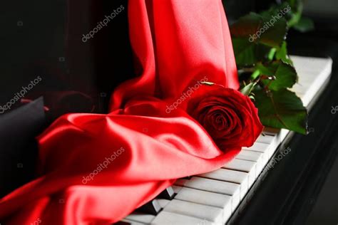 Pink Rose On Piano Keys — Stock Photo © Belchonock 125187470