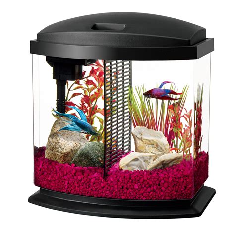 Betta Fish Tank Bowl Aquarium Kit 25 Gallon With Divider For 2 Bettas