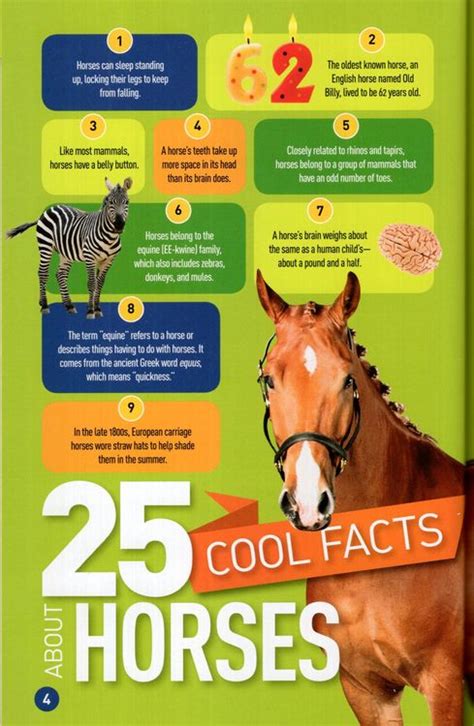 Gallop 100 Fun Facts About Horses National Geographic