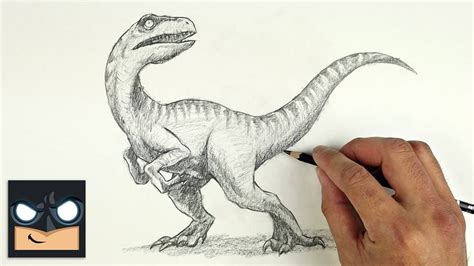 How To Draw Velociraptor From Jurassic Park Realistic Drawing Youtube My Xxx Hot Girl