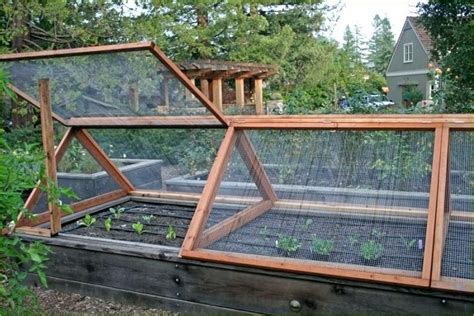 Squirrel Proof Vegetable Garden Images About Squirrel Proof Gardens On