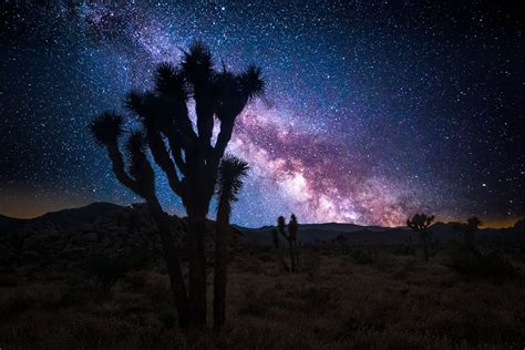 Joshua Tree Stargazing Checklist — What You Need to Know!