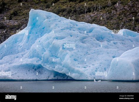 Grey Lake Iceberg Detached From Grey Glacier Torres Del Paine