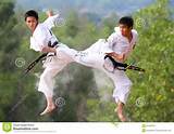 Video Taekwondo Fight