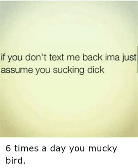 if you don t text me back ima just assume you sucking dick 6 times a day you mucky bird funny