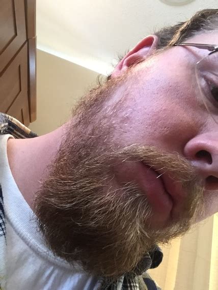 2 Week Update Page 4 Beard Board